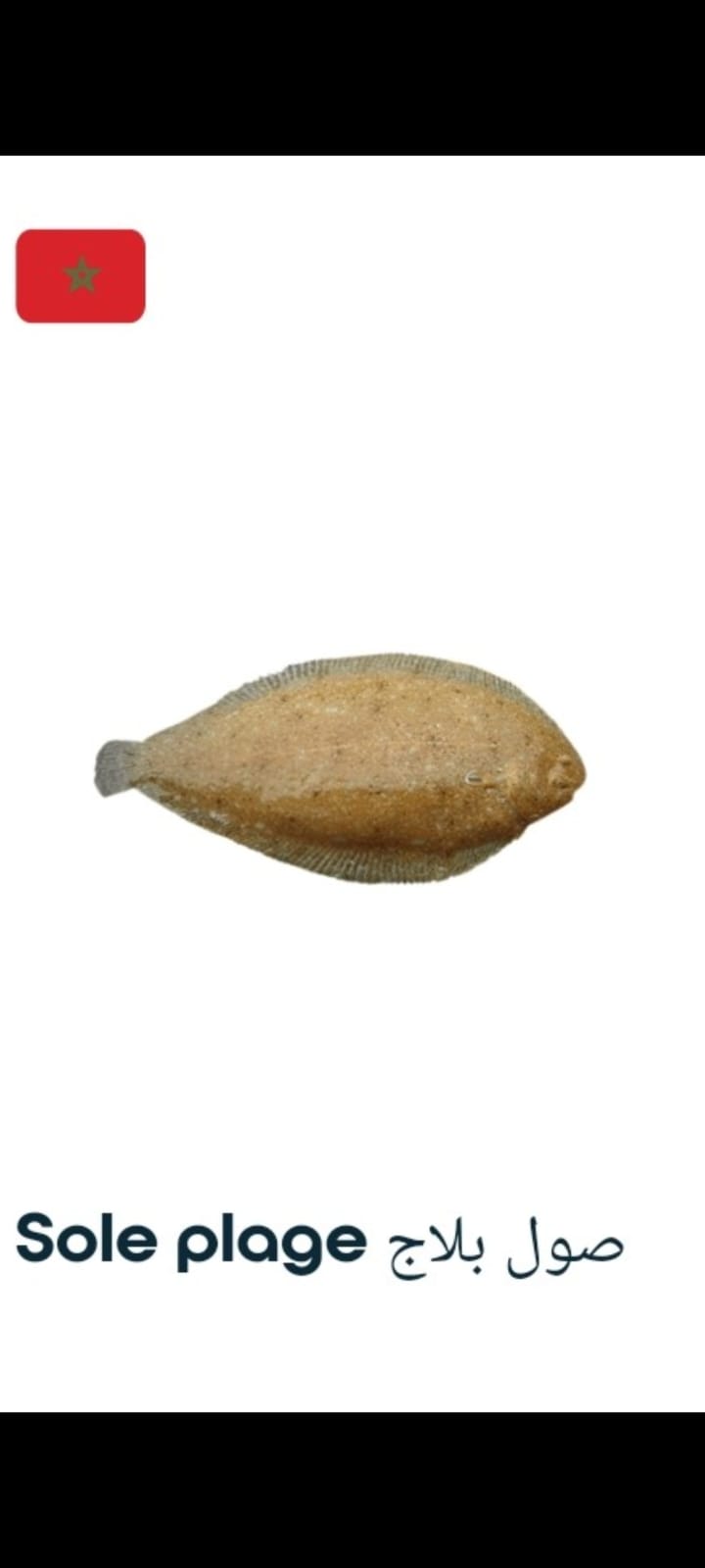 Slide 01