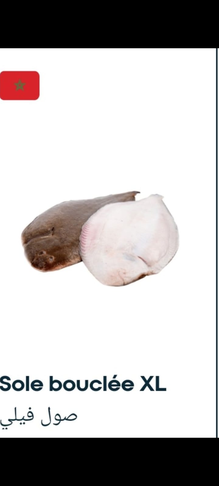 Slide 01