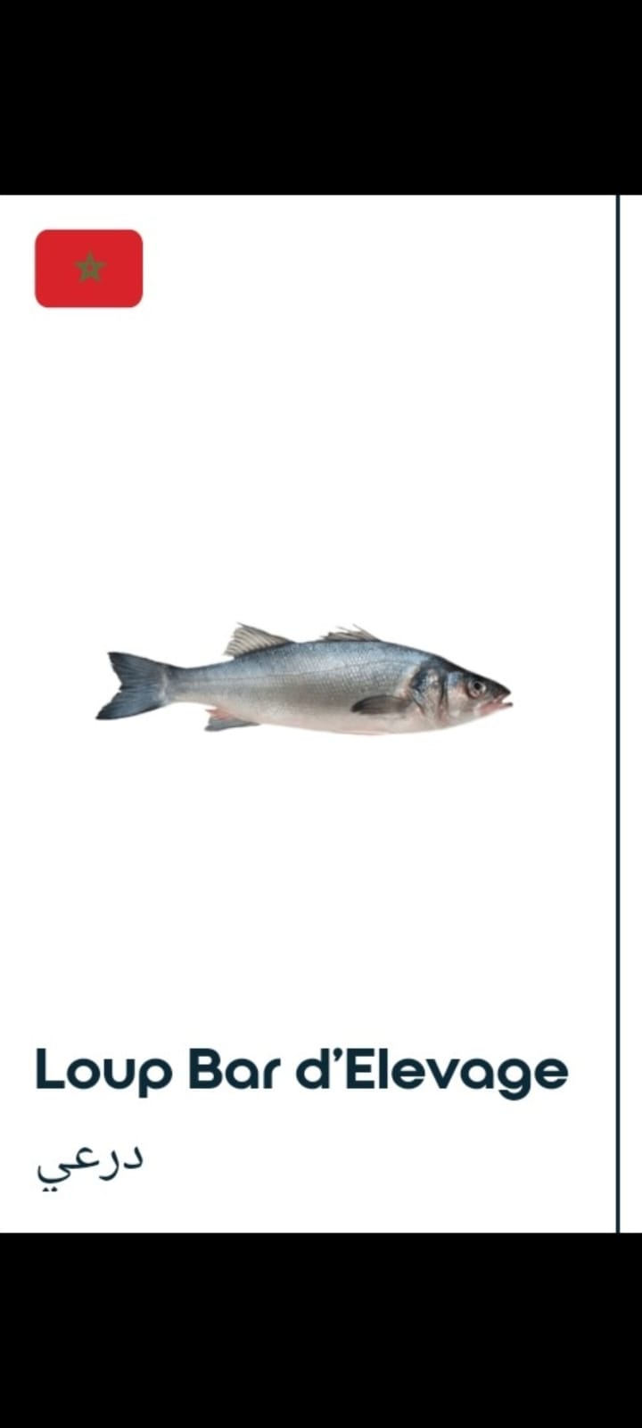 Slide 01