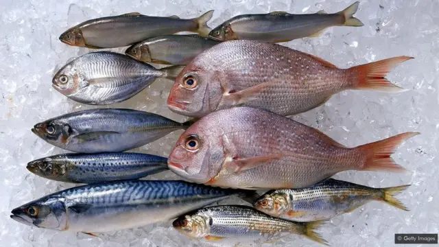 Poissons frais & entiers